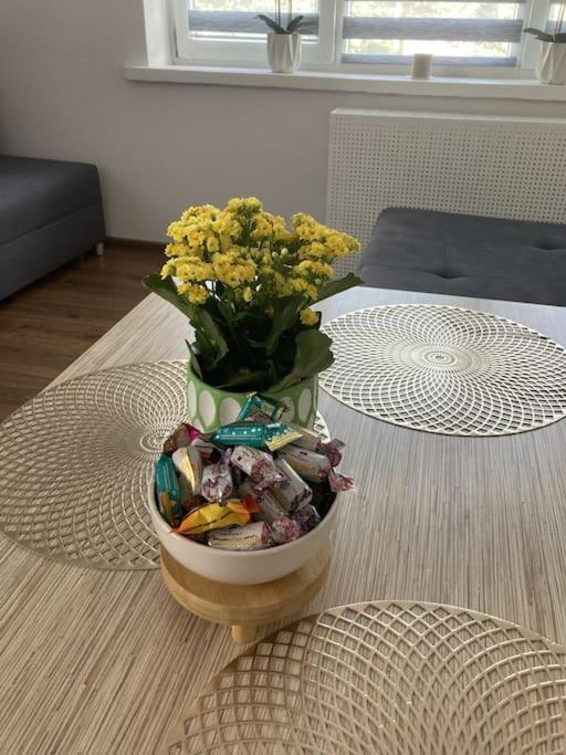 Apartament W Centrum Malborka Eksteriør bilde